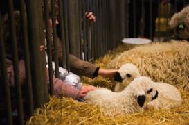 Salon de l’agriculture : la sécurité alimentaire en vedette